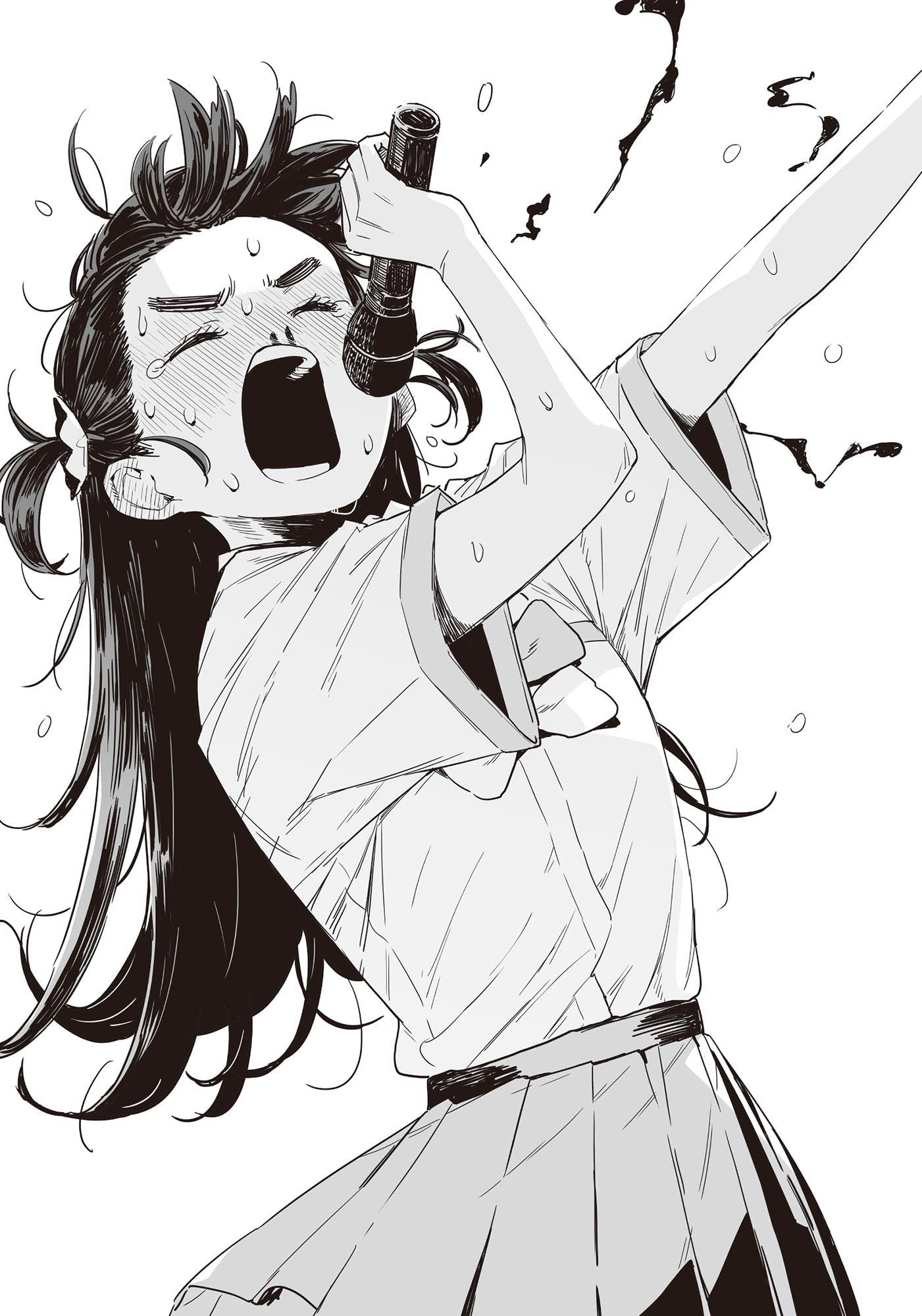In-Book Illustration